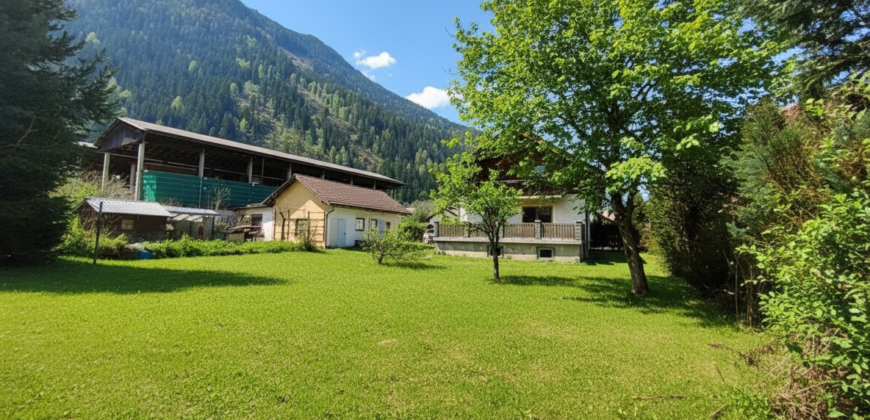 SCHERP GEPRIJST: Knus (vakantie)huis in groene omgeving