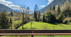 SCHERP GEPRIJST: Knus (vakantie)huis in groene omgeving