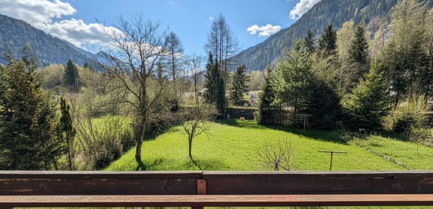 SCHERP GEPRIJST: Knus (vakantie)huis in groene omgeving